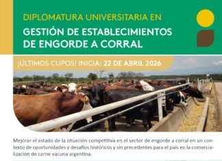 Agrarias UNLZ lanza la Diplomatura Universitaria en Gestión de Establecimientos de Engorde a Corral junto a la Cámara Argentina de Feedlot