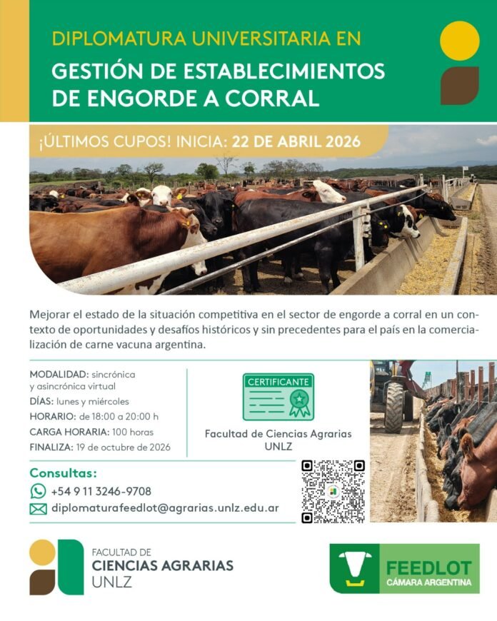 WhatsApp Image 2026-02-12 at 8.44.41 AM