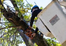 Profundizan operativos de despeje de luminarias en barrios de Almirante Brown