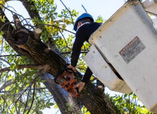 Profundizan operativos de despeje de luminarias en barrios de Almirante Brown