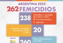 Alerta por violencia de género: se registraron 262 víctimas en 2025 y exigen que el Estado cumpla con las leyes vigentes