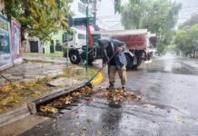 Esteban Echeverría: Tareas de limpieza y desobstrucción por la intensa lluvia