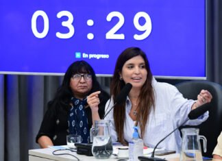 Daniela Vilar sobre la modificación de la Ley de Glaciares: “No avancen porque el daño será irreversible”