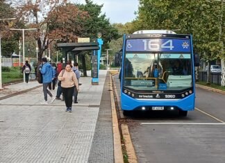 Transporte en crisis: las empresas reducen frecuencias por el fuerte aumento del gasoil