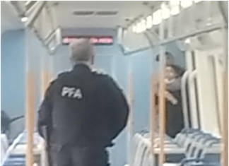 Tensión en el Tren Roca: Un hombre armado tomó de rehén a una pasajera en la estación Temperley
