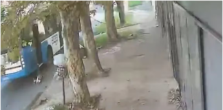 Fiorito: Un nene fue arrastrado por un colectivo tras quedar atrapado en la puerta