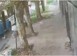 Fiorito: Un nene fue arrastrado por un colectivo tras quedar atrapado en la puerta