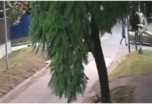 Violento intento de robo en Temperley: un joven fue baleado por la espalda y pelea por su vida