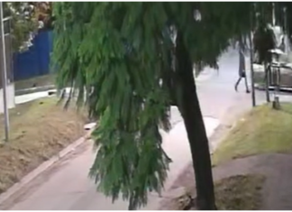 Violento intento de robo en Temperley: un joven fue baleado por la espalda y pelea por su vida