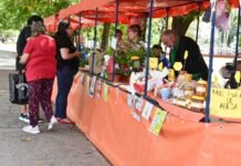 Soberanía alimentaria en Guernica: llega una nueva edición de la feria “Del surco a la mesa”