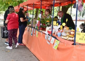 Soberanía alimentaria en Guernica: llega una nueva edición de la feria “Del surco a la mesa”