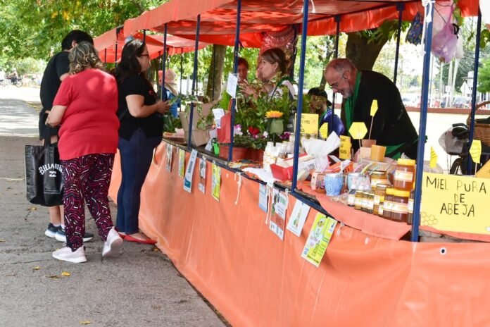 WhatsApp Image 2026-04-06 at 12.06.16