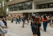 Becas de Iniciación a la Investigación 2026: Cómo la UNaB busca profesionalizar el «despertar temprano» de sus investigadores