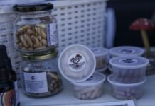 El sector de los hongos busca su ley: impulsan un marco regulatorio para potenciar la producción en la Provincia