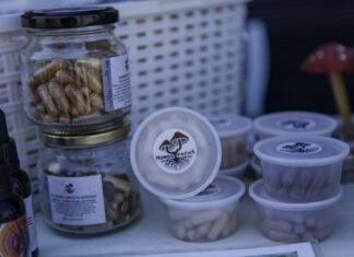 El sector de los hongos busca su ley: impulsan un marco regulatorio para potenciar la producción en la Provincia