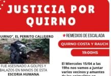 Conmoción en Remedios de Escalada: Marchan para exigir justicia por el brutal asesinato del perro «Quirno»