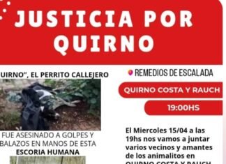 Conmoción en Remedios de Escalada: Marchan para exigir justicia por el brutal asesinato del perro «Quirno»