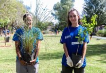 Almirante Brown se consolida como el «pulmón verde» de la región: plantaron más de mil nativas en un año