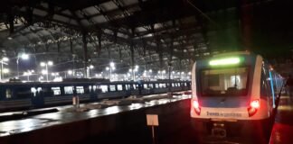 Renovación de vías del Tren Roca: Desmienten un corte total del servicio por dos años durante los fines de semana
