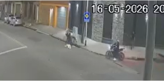 Crueldad en Avellaneda: golpearon brutalmente a una joven para robarle