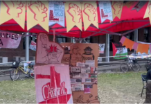 Se realizó el «UNLAPALOOZA»: música, cultura y debate en defensa de la universidad pública