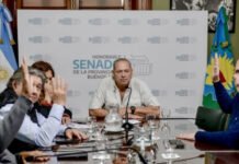 Sergio Berni asumió en la Comisión de Seguridad del Senado y reactiva su polémica reforma laboral para la Policía Bonaerense