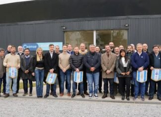 Camino al Mundial: la AFA apoyará la instalación de pantallas gigantes y «Fan Fests» en los municipios bonaerenses