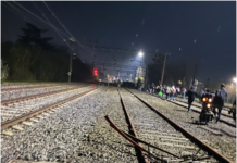 Tren Roca: se rompió una catenaria, una formación quedó varada y pasajeros desesperados evacuaron por las vías en una situación de extremo peligro