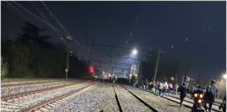 Tren Roca: se rompió una catenaria, una formación quedó varada y pasajeros desesperados evacuaron por las vías en una situación de extremo peligro