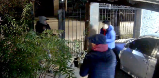 Insólito en Banfield: sufrieron una violenta entradera, gritaron para pedir ayuda y los ladrones escaparon robándose un pollo