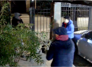 Insólito en Banfield: sufrieron una violenta entradera, gritaron para pedir ayuda y los ladrones escaparon robándose un pollo