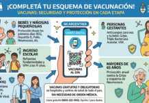 Calendario de Vacunación: ¿Por qué es clave revisar nuestro carnet aunque nos sintamos sanos?