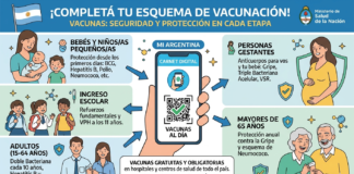 Calendario de Vacunación: ¿Por qué es clave revisar nuestro carnet aunque nos sintamos sanos?