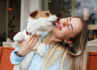 Sociedades petfriendly: ¿Las mascotas están preparadas?