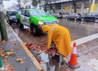 El Municipio de Echeverría realiza tareas de limpieza y saneamiento ante intensas lluvias
