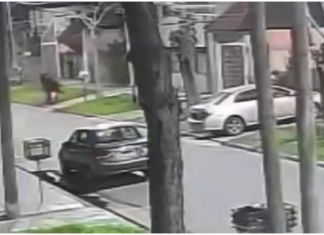 Violento ataque de motochorros en Wilde: golpearon a una mujer para robarle y se escuchó un disparo
