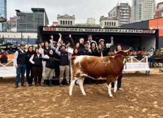 Orgullo regional: Un Lomas se consagró tri-campeona en la Expo Rural y la UNLZ copó los premios en Bovino Criollo