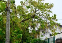 Tras un relevamiento con la UTN, el Municipio de Echeverría denunció ante el ENRE el mal estado de los postes y cables de EDESUR