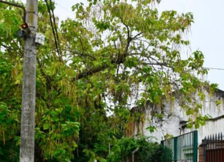Tras un relevamiento con la UTN, el Municipio de Echeverría denunció ante el ENRE el mal estado de los postes y cables de EDESUR