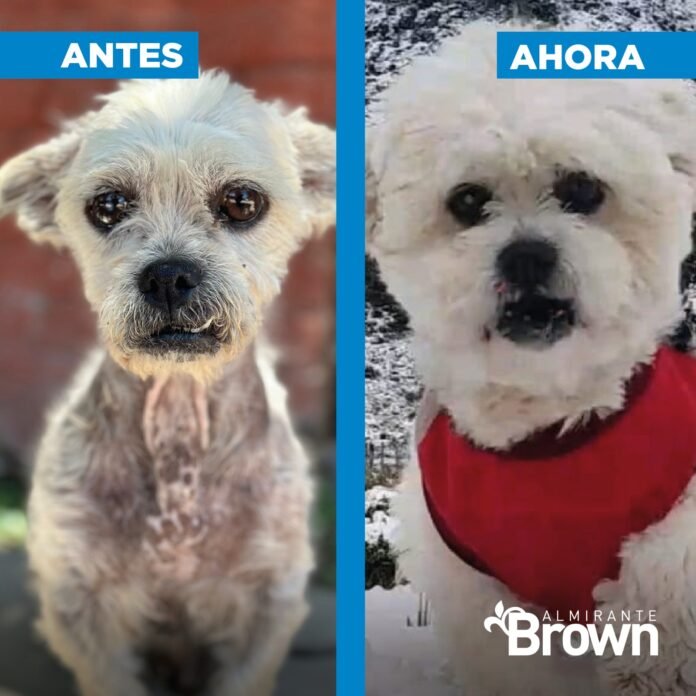 Arturo