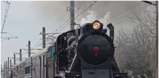 La «39 Grande» volvió a rugir: El Ferroclub Escalada rescató una locomotora a vapor de 1927 y completó un viaje de 190 kilómetros