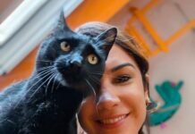 La revolución felina: del patio al centro de la casa y los secretos para su bienestar integral