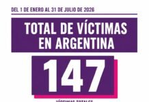 Se registraron 147 víctimas letales por violencia de género en lo que va de 2026 en el país