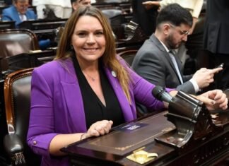 La Libertad Avanza impulsará el juicio político a la jueza que frenó el Régimen Penal Juvenil
