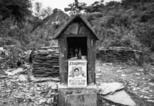 Lucrecia Martel presenta “Nuestra Tierra” en la UNLa: proyección y charla sobre el sonido de su nuevo documental