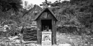 Lucrecia Martel presenta “Nuestra Tierra” en la UNLa: proyección y charla sobre el sonido de su nuevo documental