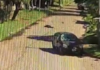 Lomas de Zamora: Un ciclista resultó herido tras ser atropellado por un auto que se dio a la fuga en Villa Galicia