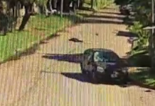 Lomas de Zamora: Un ciclista resultó herido tras ser atropellado por un auto que se dio a la fuga en Villa Galicia