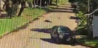Lomas de Zamora: Un ciclista resultó herido tras ser atropellado por un auto que se dio a la fuga en Villa Galicia