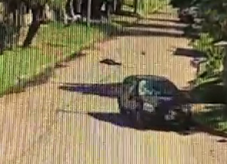 Lomas de Zamora: Un ciclista resultó herido tras ser atropellado por un auto que se dio a la fuga en Villa Galicia